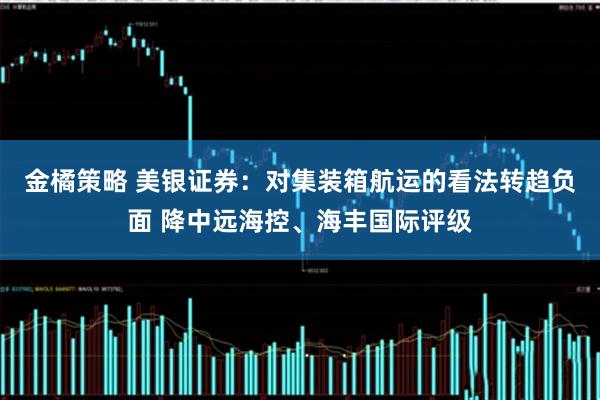 金橘策略 美银证券：对集装箱航运的看法转趋负面 降中远海控、海丰国际评级