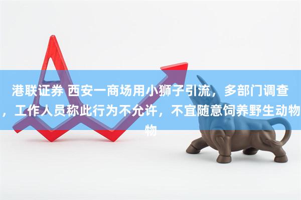 港联证券 西安一商场用小狮子引流，多部门调查，工作人员称此行为不允许，不宜随意饲养野生动物