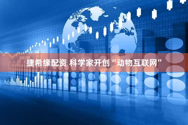捷希缘配资 科学家开创“动物互联网”