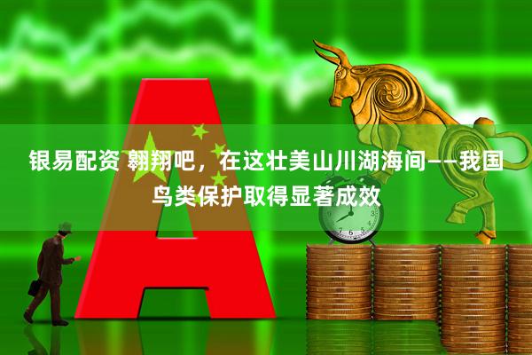 银易配资 翱翔吧，在这壮美山川湖海间——我国鸟类保护取得显著成效