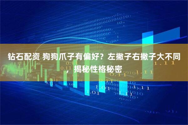 钻石配资 狗狗爪子有偏好？左撇子右撇子大不同，揭秘性格秘密