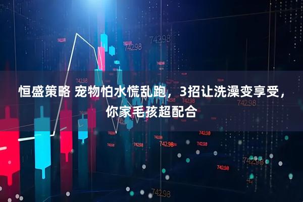 恒盛策略 宠物怕水慌乱跑，3招让洗澡变享受，你家毛孩超配合