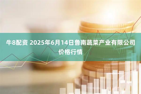 牛8配资 2025年6月14日鲁南蔬菜产业有限公司价格行情