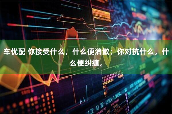 车优配 你接受什么，什么便消散；你对抗什么，什么便纠缠。