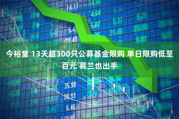 今裕堂 13天超300只公募基金限购 单日限购低至百元 葛兰也出手
